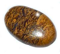 11.25 Ratti Natural Mariyam Fossil Healing Gemstone Mineral Mariyam Gemstone Cabochon Non Traitée Stone B0C2Q6FBMRNAMZ