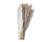 110 pièces Bouquet d'herbe des Pampas 17 Pouces, Fagot de Fleurs Séchées pour Décoration Maison, Comprend Différents Types d'herbe des Pampas, Crée Une Ambiance Rustique et Chaleureuse