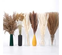 110 pièces Ensemble d'herbe de la pampa naturelle séchée avec queue de lapin, herbe de la pampa brune et blanche, remplissage de vase bohème pour mariages, fêtes rustiques et décoration de maison et