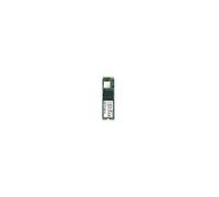 Transcend 110S 256 Go M.2 PCI Express 3.0 NVMe 3D NAND