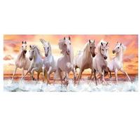 110x50CM DIY Diamond Painting Paysage Mer,5D Tableau Perle Diamant Cheval Blanc Pour Adulte,Broderie Diamant ,Décoration Murale