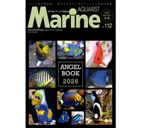 (112) Angel Book 2026 2026 01 []: