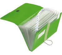 11209517 Trieur À Soufflet Format A4 12 Onglets Vert (Import Allemagne)