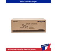 Xerox Tambour d'image 113R00670 pour Phaser 5500 – 60 000 pages – Pack de 1