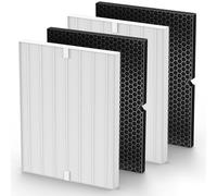 116130 Filtre de rechange H compatible avec purificateur d'air Winix 5500-2 et purificateur d'air AM80-2 Lot de 2 filtres H13 True HEPA et 2 filtres à charbon actif (2 + 2)