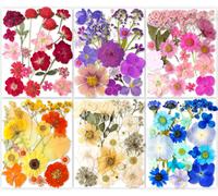 116pcs Vraie Nature Sec Gaufré Résine Moule,Sec Gaufré [Apillon Transparent Autocollant Diy Bijoux Faire Pngles Carte Scrapbooking Art Craft Décoration Eternity Summer