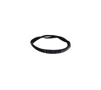 Indesit Courroie pour lave-linge 1194J5 pour Hotpoint-Ariston G