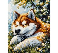 11CT Animal Diy Kit Broderie Akita Inu De Dessin Animé Kits De Point De Croix Estampés Avec Aiguilles，Enfile-Ciseaux，Ensemble D'Aiguilles À Poinçonner Pour La Décoration Murale De La M 40x50cm