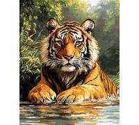 11CT Animal Diy Kit Point De Croix Imprimé Tigres Sauvages Kits De Point De Croix Imprimés，Ensemble De Broderie Estampé Pour Adultes，Travaux D'Aiguille，Art Mural，Décoration De La Mai 30x40cm