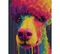 11CT Chien Animal Diy Canevas Kit Complet Adulte Caniche Coloré Kit De Broderie Estampé À Faire Soi-Même Pour Adultes，Projets De Point De Croix Pour Débutants，Travaux D'Aiguille Faits 80x100cm