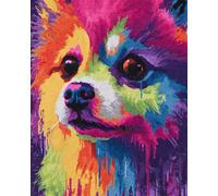 11CT Chien Animal Diy Canevas Kit Complet Adulte Poméranien Coloré Kit De Broderie Estampé À Faire Soi-Même Pour Adultes，Projets De Point De Croix Pour Débutants，Travaux D'Aiguille Fai 30x40cm