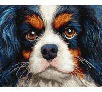 11CT Chien Animal Diy Canevas Point De Croix Cavalier King Charles Spaniel De Dessin Animé Kit De Broderie Au Point De Croix Compté，Ensemble De Broderie Sur Tissu Pour La Décoration De 30x40cm