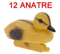 12 Anatre Galleggianti 12x6x7cm Decoro Laghetto Giardino Multicolore