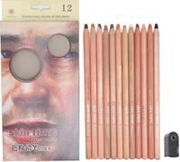 12 crayons de couleur avec taille-crayon Fleshcolor Pastel professionnel anti-fissure pour portrait pour esquisser