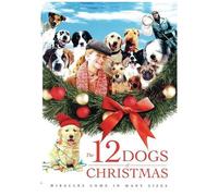 12 Dogs Of Christmas [Digital Video Disc]