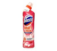 12 × Domestos Wc Gel Nettoyeur de Toilettes Lime Remover 750ml Floral Fresh