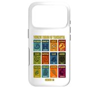 12 Douze tribus de Yasharal Hébreu Israélite Juda Coque pour iPhone 17 Pro