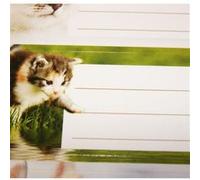 12 étiquettes adhésives scolaires - Rectangle - Photos Chatons Blanc G