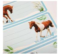 12 étiquettes adhésives scolaires - Rectangle - Photos de chevaux Blanc G