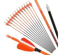 12 flèches de tir à l'arc en carbone pur - 84,7 cm, rigidité 500, diamètre intérieur 4,2 mm, fût de 81,3 cm et pointe en alliage de 100 grains, flèches d'entraînement pour arc classique (Orange)