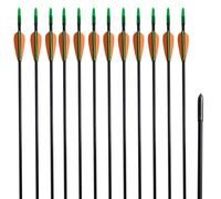 12x Flèche d'Arc Recourbé Fibre de Verre 30" 0,6 cm pour Tir à l'Arc vidaXL
