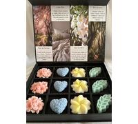 12 Fondants Parfumés à la Cire d'olive Bio et Parfum de Grasse, Fleur de Cerisier, Linge Frais, Fleur de tiaré, Bois de Oud, Coffret Cadeaux, Colorants naturels, 200Gr, Origine France