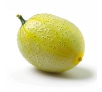 12 Graines de Concombre Citron