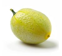 12 Graines de Concombre Citron - SemiSauvage Permaculture