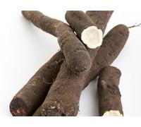 12 Graines De Salsifis Énorme