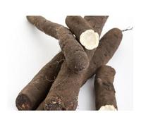 12 Graines de Salsifis Énorme - légumes ancien potager - méthode BIO