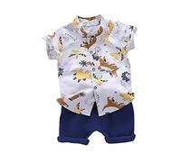 12 mois d'été mince dessin animé dinosaure short manches courtes ensemble deux pièces bébé grenouillère ensemble nouveau-né, café, 6-12 mois