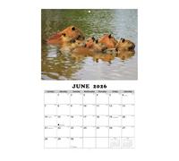 12 Month Wall Calendar - Animal Illustration Artwork Design, English Language Monthly Planner Layout, Decorative Hanging Paper Calendar, Clear Date Grid Organization | Office School Kitchen Living Roo