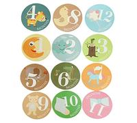 12 Pièces Autocollants Mensuels Accessoire Photo Pratique pour Étiquettes Papier