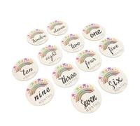 12 Pièces Cartes Mensuelles en Bois, Disques Ronds Arc-en-ciel | Suivi Mois par Mois, Bords Arrondis sans Bavure, Style Boho Minimaliste pour Photos de -né