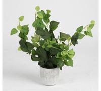 12 pièces de lierre artificiel 32cm dans un pot en céramique Set de décoration de plantes fleurs artificielles
