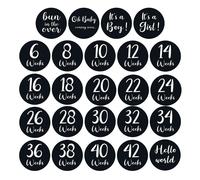 12 Pièces/Ensemble Animal De Bande Dessinée Bébé Autocollants Mensuels Étape Mémorial Mois Autocollant