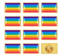 12 pièces Gay Pride Broche, Drapeau Arc-en-Ciel Pride Pins pour LGBT, Pride Accessoires pour Revers