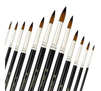 12 Pièces Nylon Pinceaux Peinture Acrylique Professionnel, Artiste Pinceau Set pour Aquarelle Gouache Peinture à l'huile, Art Paint Brush Ronds Pointus Langue de Chat Ovale Lavage (Noir)