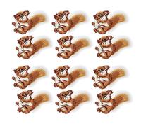 12 Pièces Patchs Brodés écureuil Broderie Tissu Autocollants Fer Sur Patch Broderie Tissu Autocollants Sac Motif Applique Fer Patchs