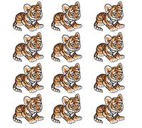 12 pièces patchs en tissu de broderie Tigerkin de haute qualité bricolage coudre sur fer sur des applications pour vestes sacs chapeaux vêtements décoration marron 6.5x5.3 cm