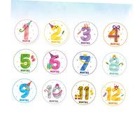 12 Pièces Stickers Milestones Garçon Fille Adorables Autocollants Mensuels pour Nourrissons pour Souvenirs sur Réseaux Sociaux
