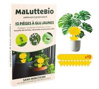 12 Pièges Jaunes Collants pour Plantes | Anti-Moucherons et Mouches des Terreaux | Intérieur & Extérieur | sans Insecticide & Inodore