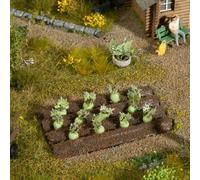 13220 Noch Ho Orto Avec Plantation De Rape De Chou Mis. MM 60 x 30