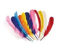 12 plumes colorées indiens - boland 44135 Multicolore G