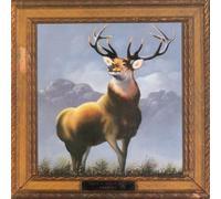 12 point buck CD
