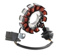 12-Pole Stator Générateur Compatible avec Fly 50 Zip 50 ET4 50 LX 50 Liberty 50 4T et Modèles de Scooter similaires
