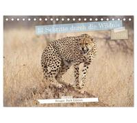 12 Schritte durch die Wildnis, Kruger Park Edition (Tischkalender 2026 DIN A5 quer), CALVENDO Monatskalender: Ein Kalender, der mit 12 poetischen ... Afrikas in jedem Monat zum Leben erweckt.