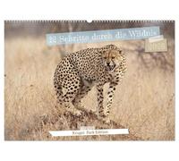12 Schritte durch die Wildnis, Kruger Park Edition (Wandkalender 2026 DIN A2 quer), CALVENDO Monatskalender: Ein Kalender, der mit 12 poetischen ... Afrikas in jedem Monat zum Leben erweckt.