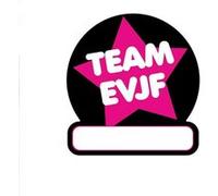 12 stickers textile t-shirt evjf - - rose - sud trading cd4421 Rose G