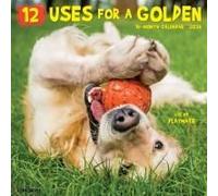 12 Uses For A Golden 2026 12 X 12 Wall Calendar